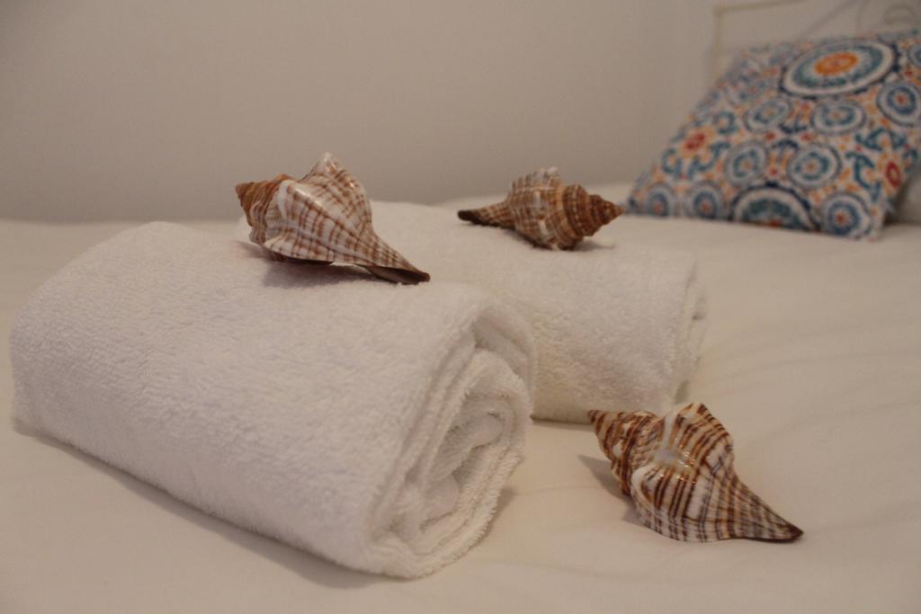 Consolacao Surf & Beach Apartment Esterno foto